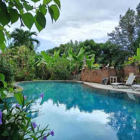Warsi Bungalow Ubud Buitenkant foto
